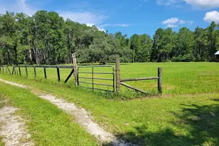 2484 Culbreath Rd, Brooksville, FL 34602 - Photo 67