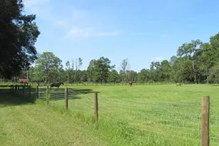 2484 Culbreath Rd, Brooksville, FL 34602 - Photo 71