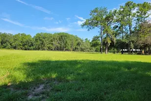 2484 Culbreath Rd, Brooksville, FL 34602 - Photo 69