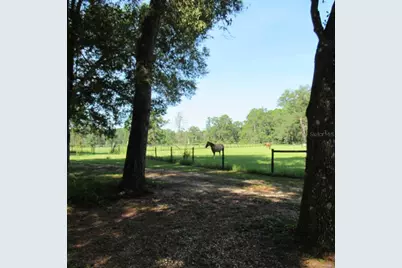 2484 Culbreath Road, Brooksville, FL 34602 - Photo 63