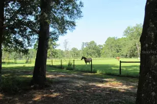 2484 Culbreath Rd, Brooksville, FL 34602 - Photo 63