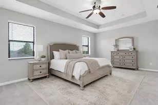 12354 Lyon Pne Ln, Odessa, FL 33556 - Photo 23
