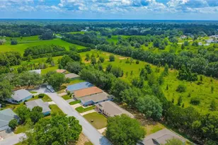 10407 S Drew Bryant Cir, Floral City, FL 34436 - Photo 49