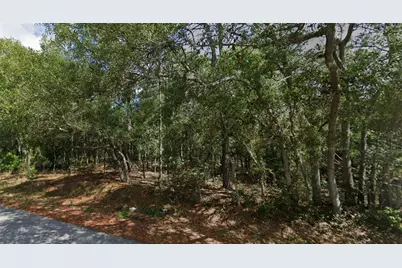 0 Todd Trail, Spring Hill, FL 34610 - Photo 3