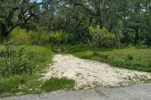 10616 Shady Dr, Hudson, FL 34669 - Photo 11