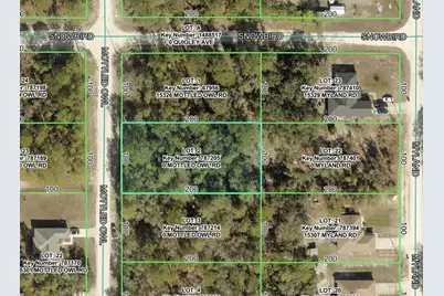15316 Mottled Owl Road, Brooksville, FL 34614 - Photo 1