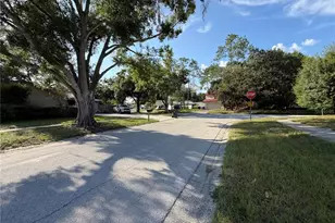 14705 Penguin Pl, Tampa, FL 33625 - Photo 13