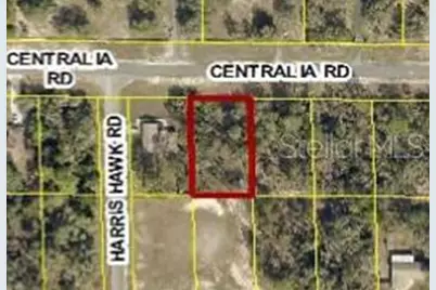 12266 Centralia Road, Weeki Wachee, FL 34614 - Photo 1