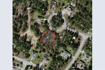 6 Geranium Court W, Homosassa, FL 34446 - Photo 1
