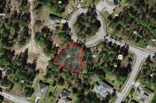 6 Geranium Ct W, Homosassa, FL 34446 - Photo 1