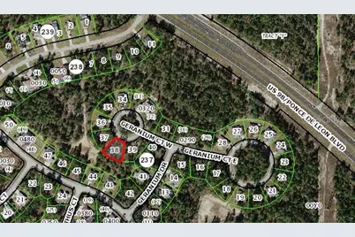 6 Geranium Court W, Homosassa, FL 34446 - Photo 3