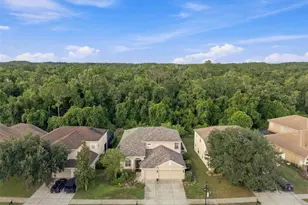 11507 Belle Haven Dr, New Port Richey, FL 34654 - Photo 69