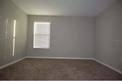20028 Satin Leaf Avenue, Tampa, FL 33647 - Photo 37