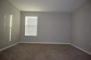 20028 Satin Leaf Ave, Tampa, FL 33647 - Photo 37
