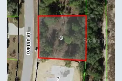 16 Lupine Street, Homosassa, FL 34446 - Photo 1