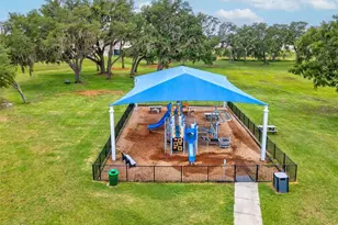 10914 Penny Gale Loop, San Antonio, FL 33576 - Photo 35