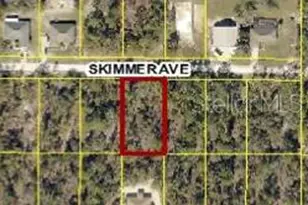 12092 Skimmer Ave, Weeki Wachee, FL 34614 - Photo 1
