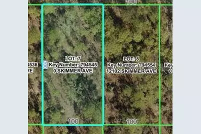 12092 Skimmer Avenue, Weeki Wachee, FL 34614 - Photo 3