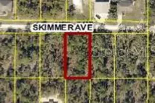 12102 Skimmer Ave, Weeki Wachee, FL 34614 - Photo 1