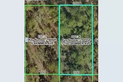 12102 Skimmer Avenue, Weeki Wachee, FL 34614 - Photo 3