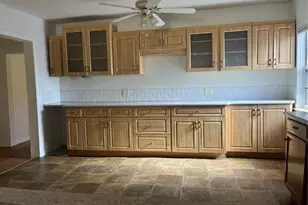 53 W Park St, Tarpon Springs, FL 34689 - Photo 9