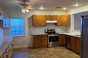 53 W Park St, Tarpon Springs, FL 34689 - Photo 7