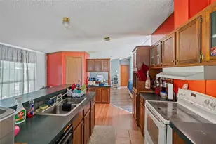 8512 Hamster Dr, Zephyrhills, FL 33540 - Photo 19