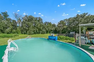 8512 Hamster Dr, Zephyrhills, FL 33540 - Photo 39
