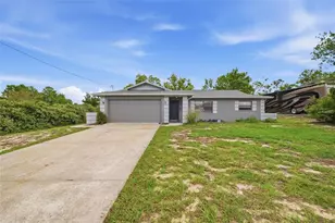 6310 Gainsboro Ave, Spring Hill, FL 34609 - Photo 25