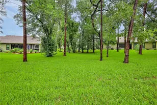 6591 Brambleleaf Dr, Spring Hill, FL 34606 - Photo 31