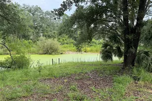 4830 SW 123rd Rd, Webster, FL 33597 - Photo 15