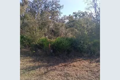 8110 Treiman Boulevard, Ridge Manor Estates, FL 33597 - Photo 1