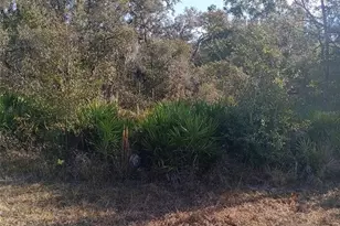8110 Treiman Blvd, Ridge Manor Estates, FL 33597 - Photo 1