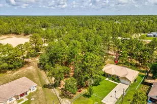 12229 Barnevelde Rd, Weeki Wachee, FL 34614 - Photo 63