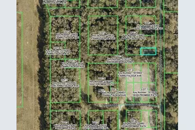 14263 Annutalaga Avenue, Brooksville, FL 34601 - Photo 17