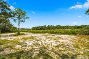 32 N Shadow Wood Dr, Inverness, FL 34450 - Photo 55