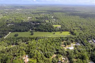 9230 Sikes Cow Pen Rd, Brooksville, FL 34601 - Photo 21