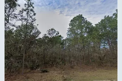 Malden Road, Weeki Wachee, FL 34614 - Photo 3