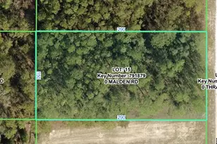 Malden Rd, Weeki Wachee, FL 34614 - Photo 1