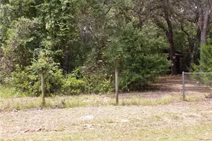 30 NE 478th Ave, Old Town, FL 32680 - Photo 21