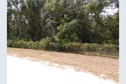 30 NE 478th Avenue, Old Town, FL 32680 - Photo 25