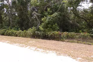 30 NE 478th Ave, Old Town, FL 32680 - Photo 25