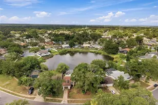 2460 Beacon Grvs Blvd, Palm Harbor, FL 34683 - Photo 63