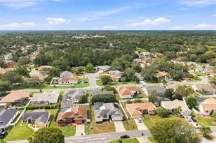 7258 Aloe Dr, Spring Hill, FL 34607 - Photo 51