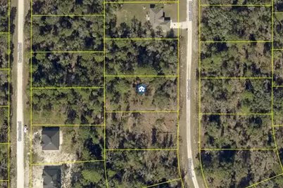Lot 16 Crider Road, Weeki Wachee, FL 34614 - Photo 1
