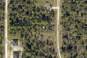 Lot 16 Crider Rd, Weeki Wachee, FL 34614 - Photo 1