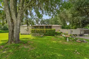 30624 Clearview Dr, Wesley Chapel, FL 33545 - Photo 1