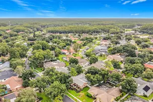 3097 Edgemoor Dr, Palm Harbor, FL 34685 - Photo 7