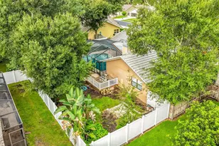 3097 Edgemoor Dr, Palm Harbor, FL 34685 - Photo 55