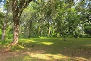 3415 Cr 679, Webster, FL 33597 - Photo 9